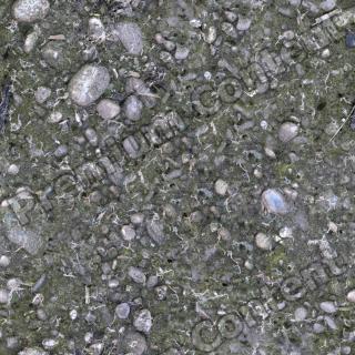 High Resolution Seamless Concrete Texture 0001